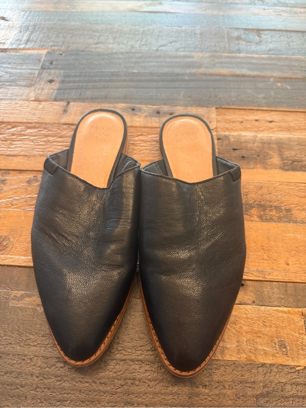 Frye & Co Black Leather Pointed Slip-On Mules